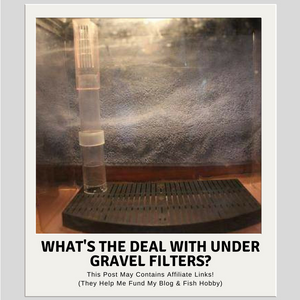 What's The Deal With Under Gravel Filters?