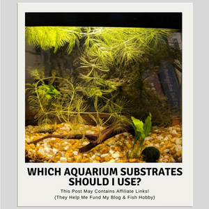 Which Aquarium Substrates Should I Use?