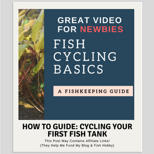 How To Guide: Cycling Your First Fish Tank