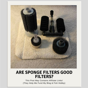Are Sponge Filters Good Filters?